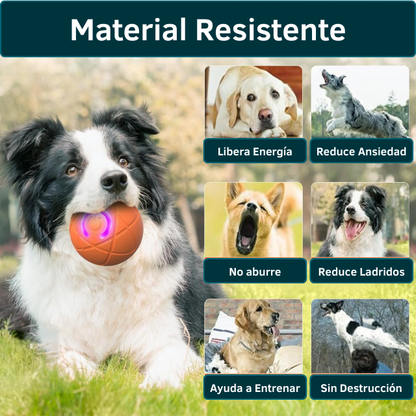 Pelota Inteligente Saltarina para Mascotas - Haz que tu mascota juegue mientras descansas o trabajas