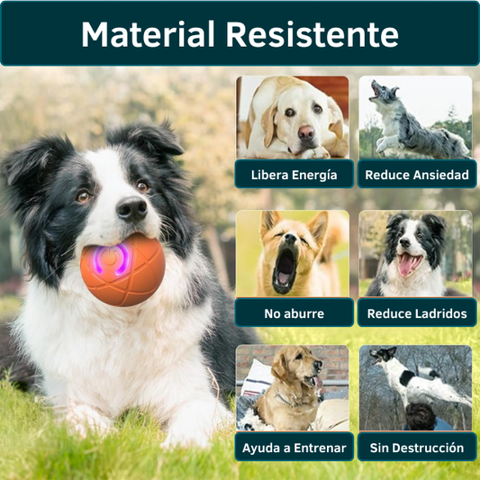 Pelota Inteligente Saltarina para Mascotas - Haz que tu mascota juegue mientras descansas o trabajas