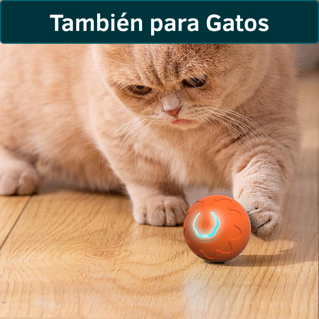 Pelota Inteligente Saltarina para Mascotas - Haz que tu mascota juegue mientras descansas o trabajas